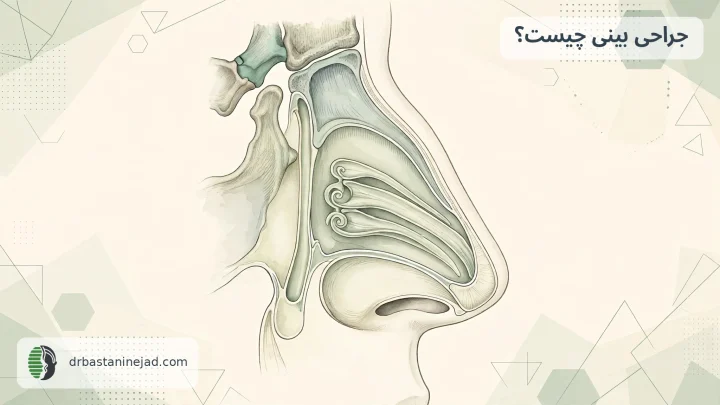 تصویرسازی آناتومی بینی برای راهنمای جراحی بینی